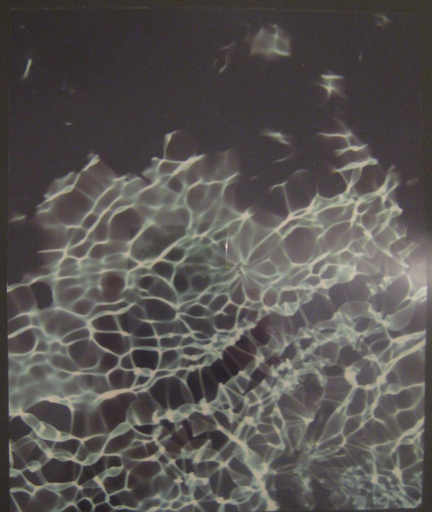 Susan Derges - Azure - 2006