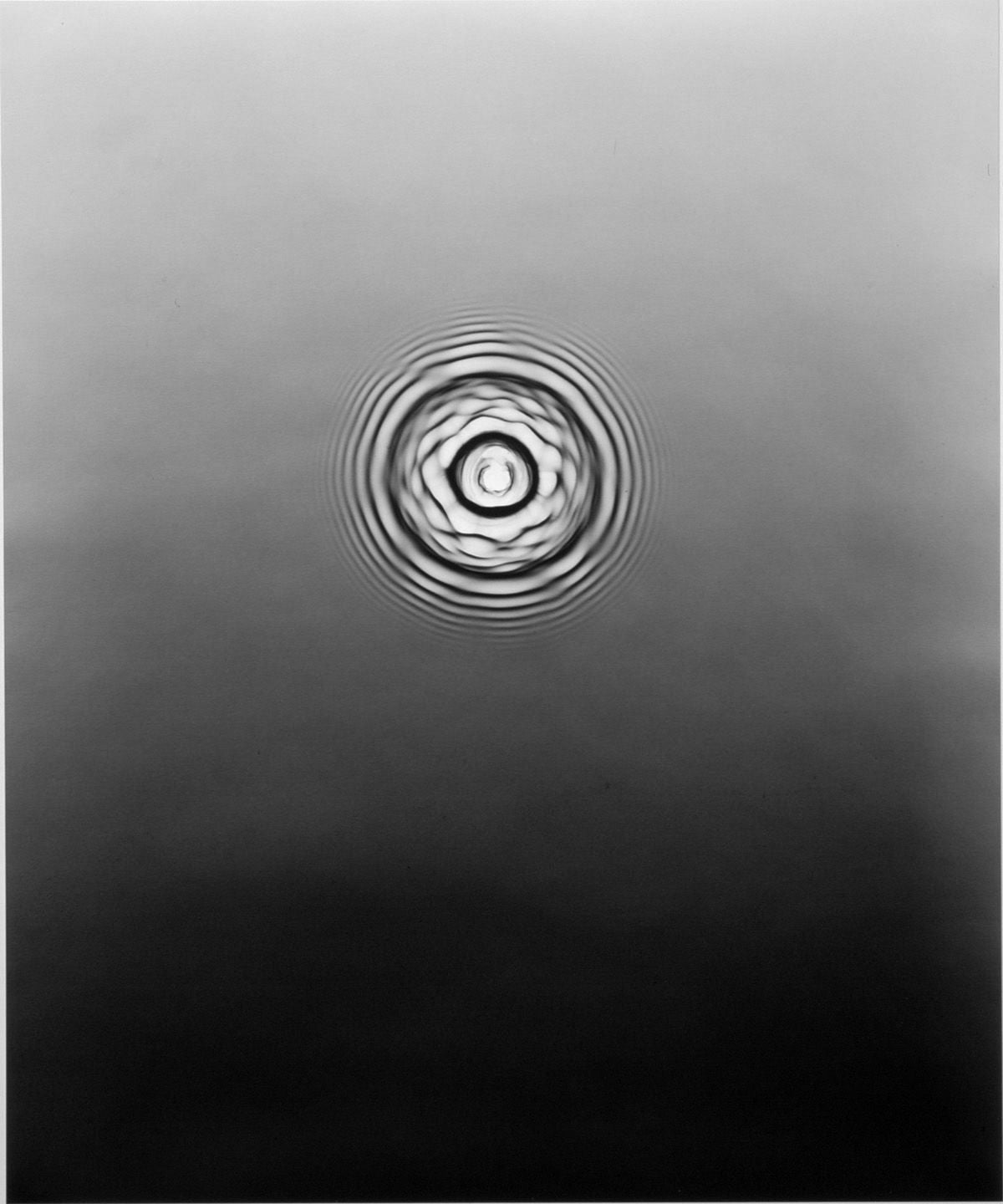 Adam Fuss - ARK - 2007