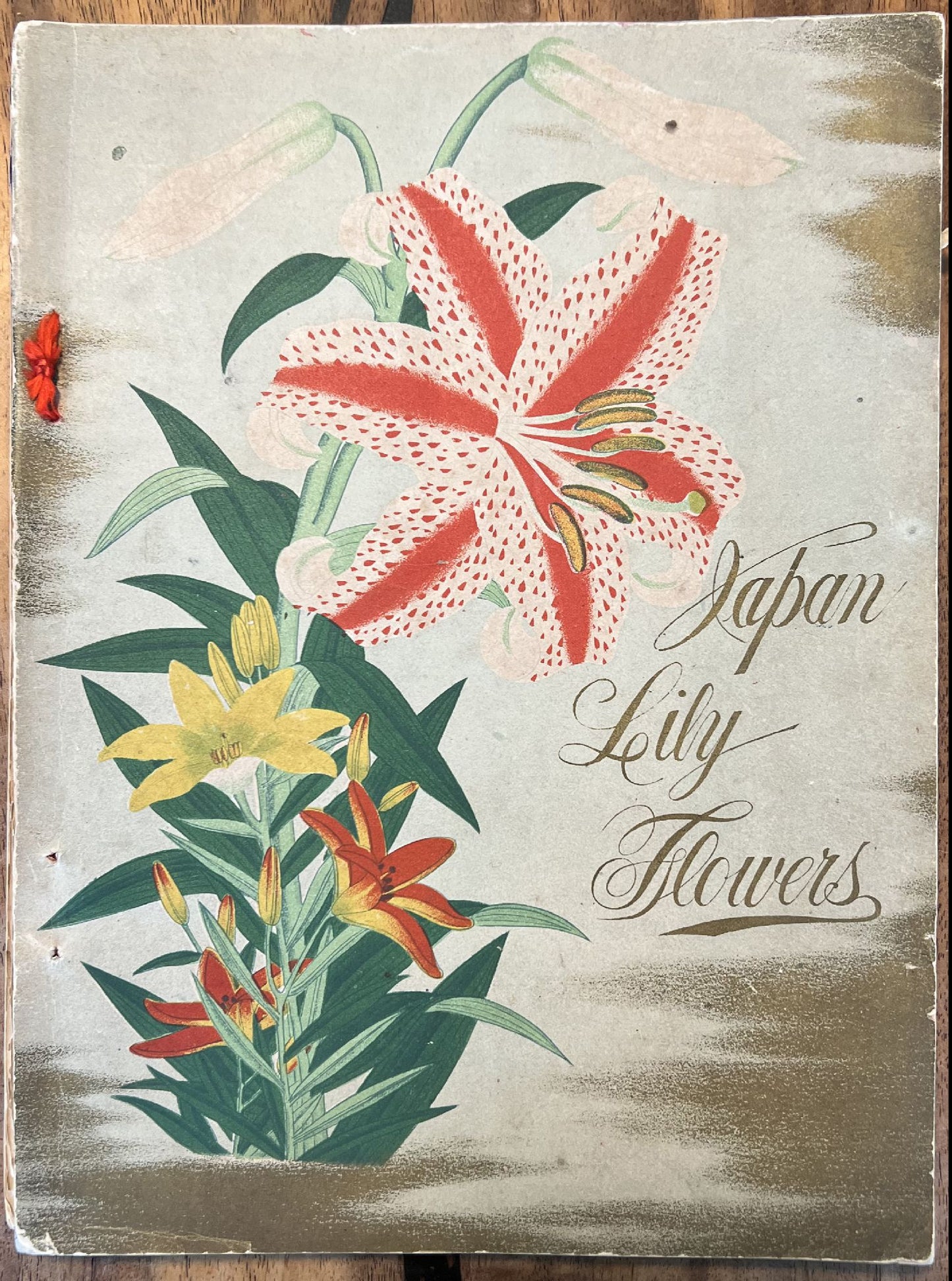 UNKNOWN - Japan Lily Flowers