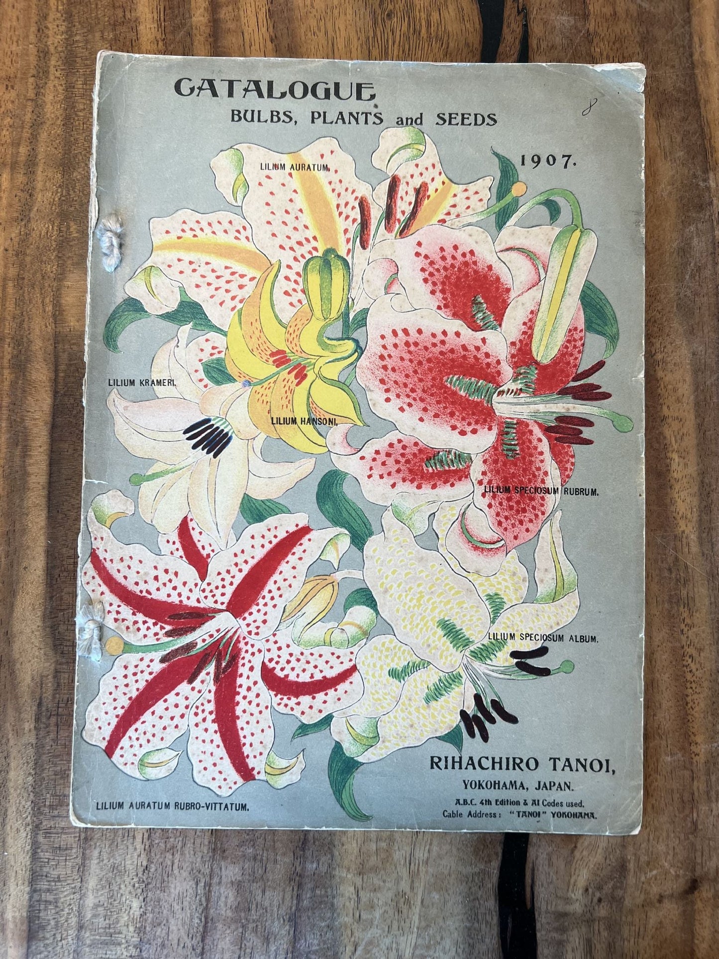 UNKNOWN - Nursery catalogue: Bulbs Plants and seeds - 1907