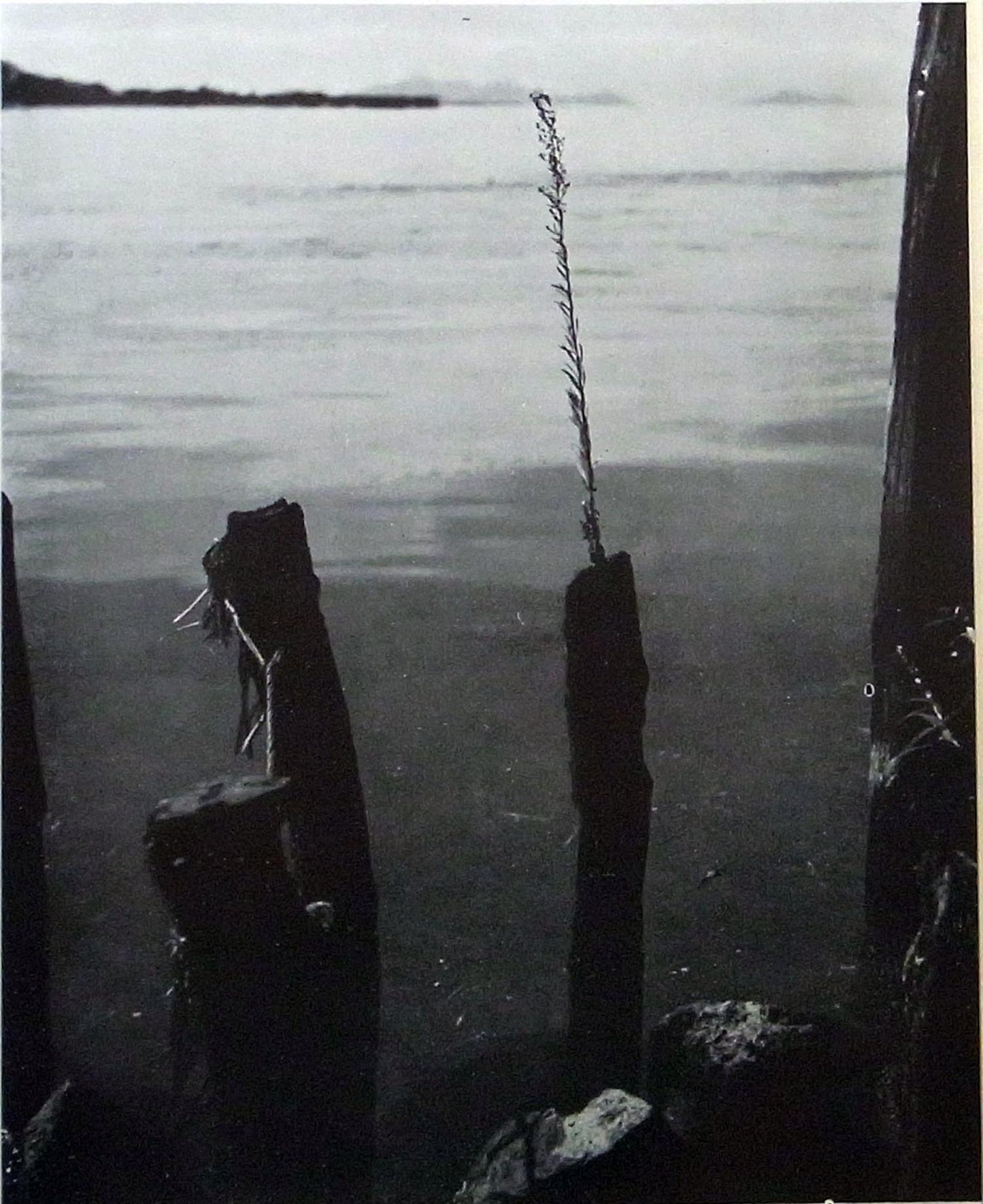 Giichi Kishi - Aki no Shashinshu - 1938
