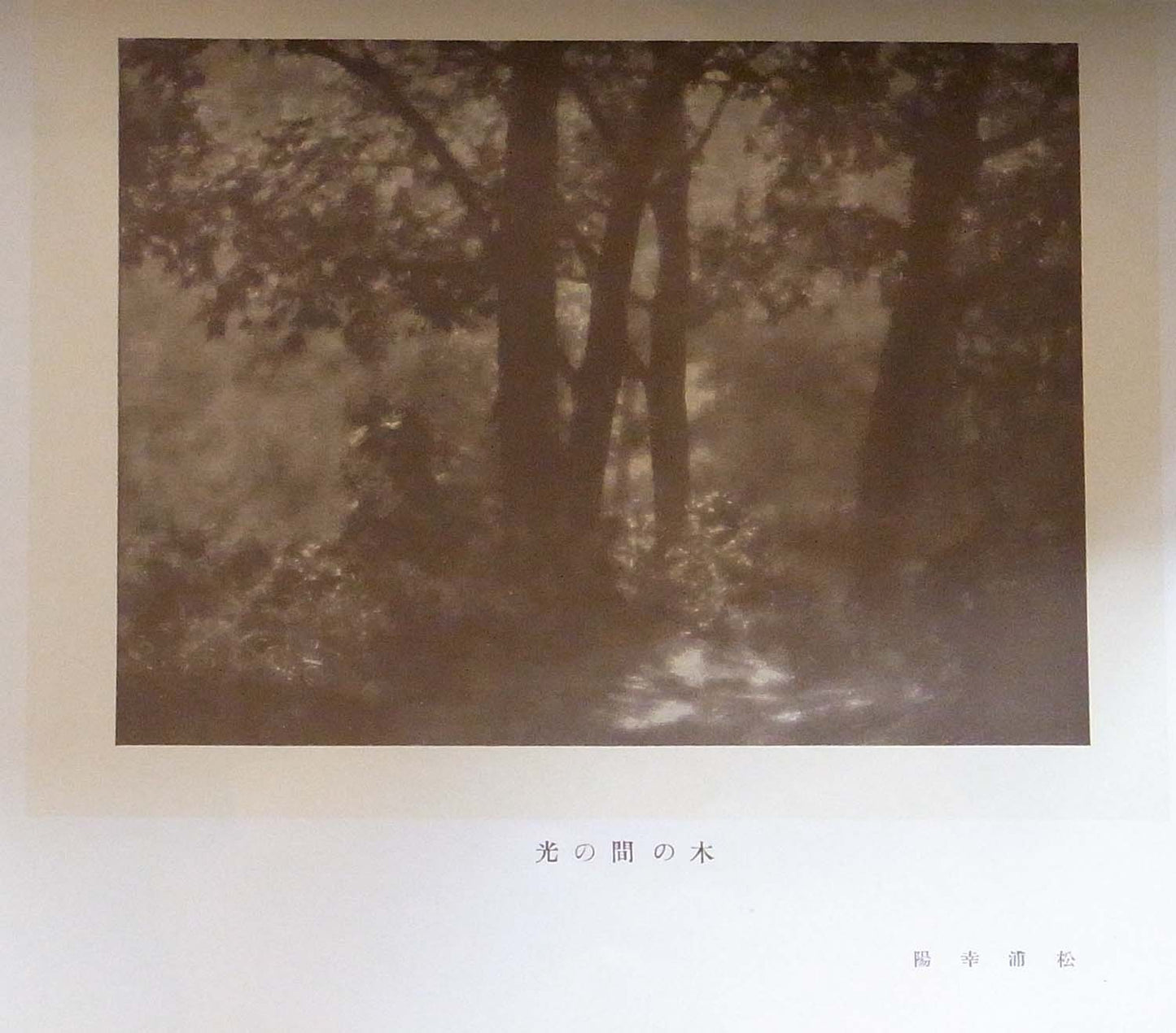 Gashu - Vol. 14 (Research Exhibition Catalog) - 1922 and 1930