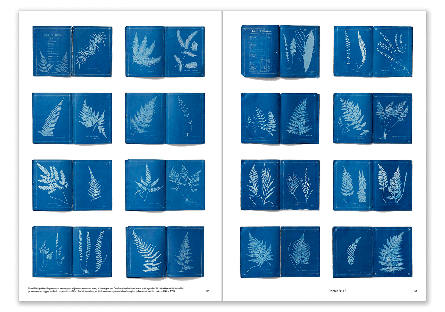Copy of Capturing Nature-UK
