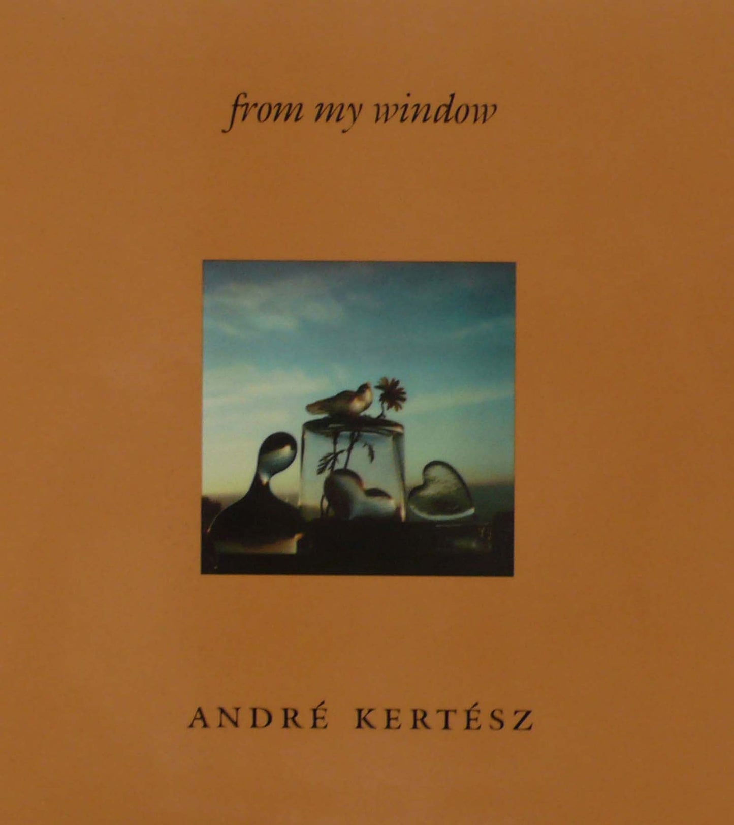 Andre Kertesz - From My Window - 1981