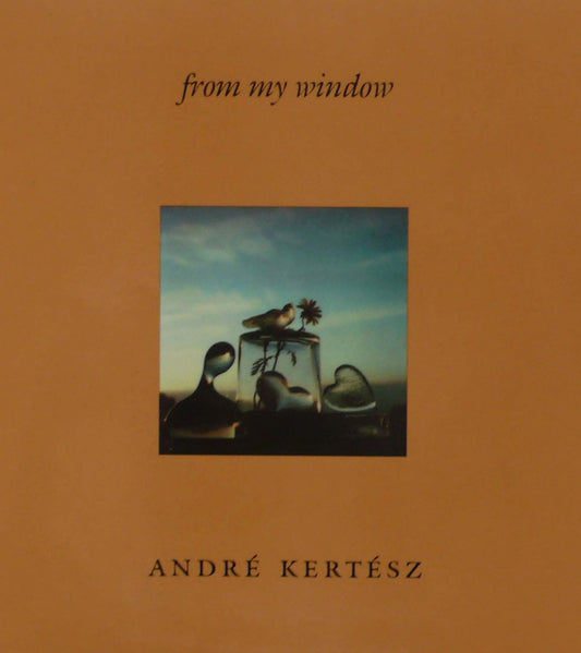 Andre Kertesz - From My Window - 1981