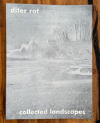 MAtthew Zucker - Dieter Roth - Collected Landscapes