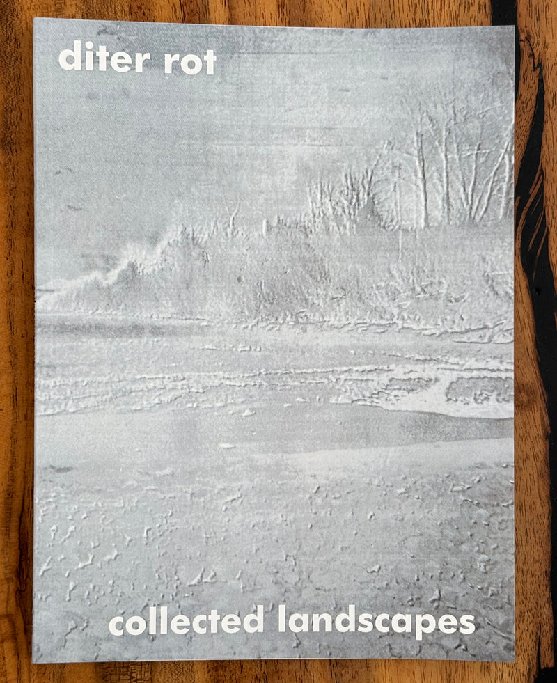 MAtthew Zucker - Dieter Roth - Collected Landscapes