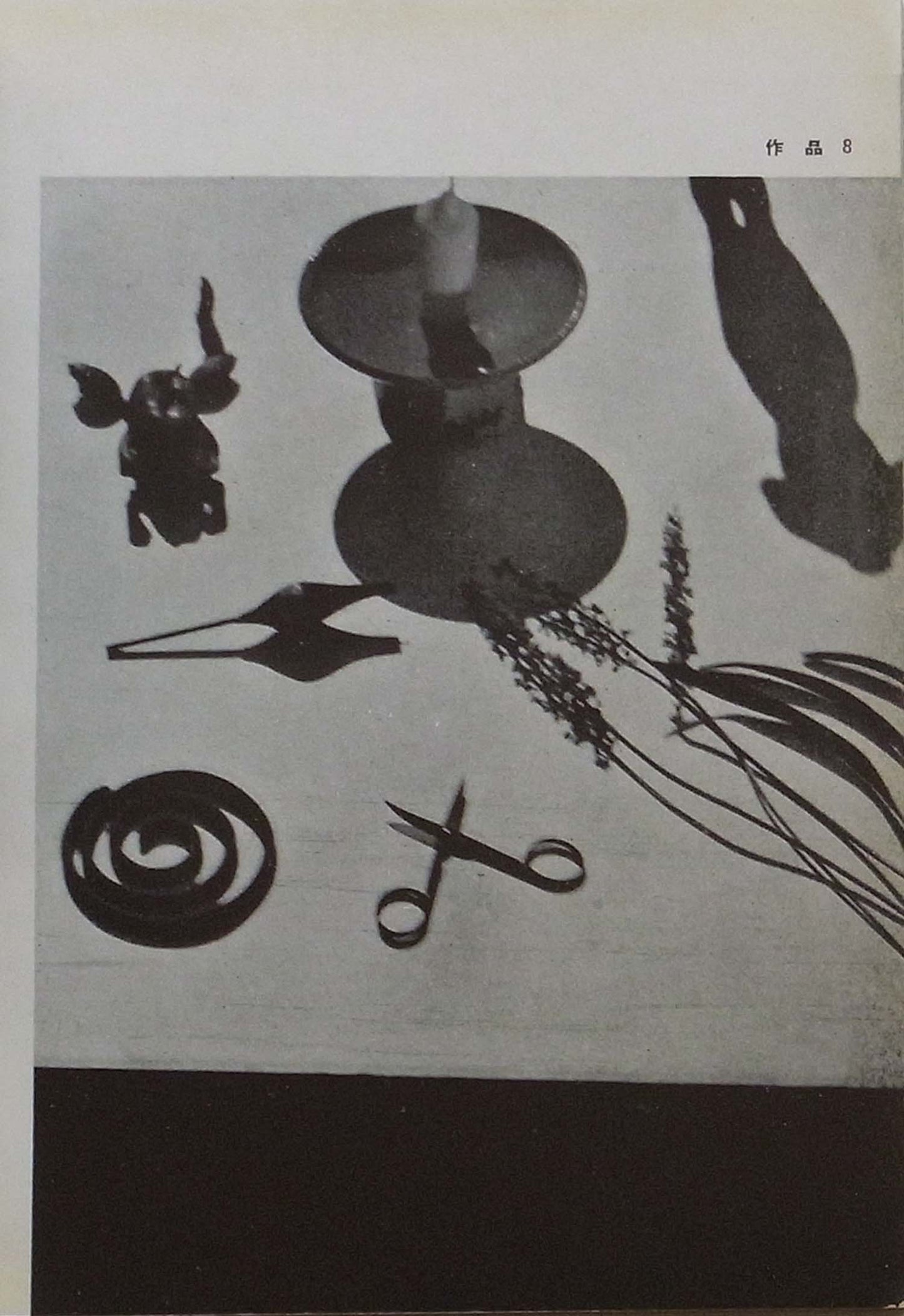 Katsuji Fukuda - Seibutsu Shashin no tsukurikata - 1939
