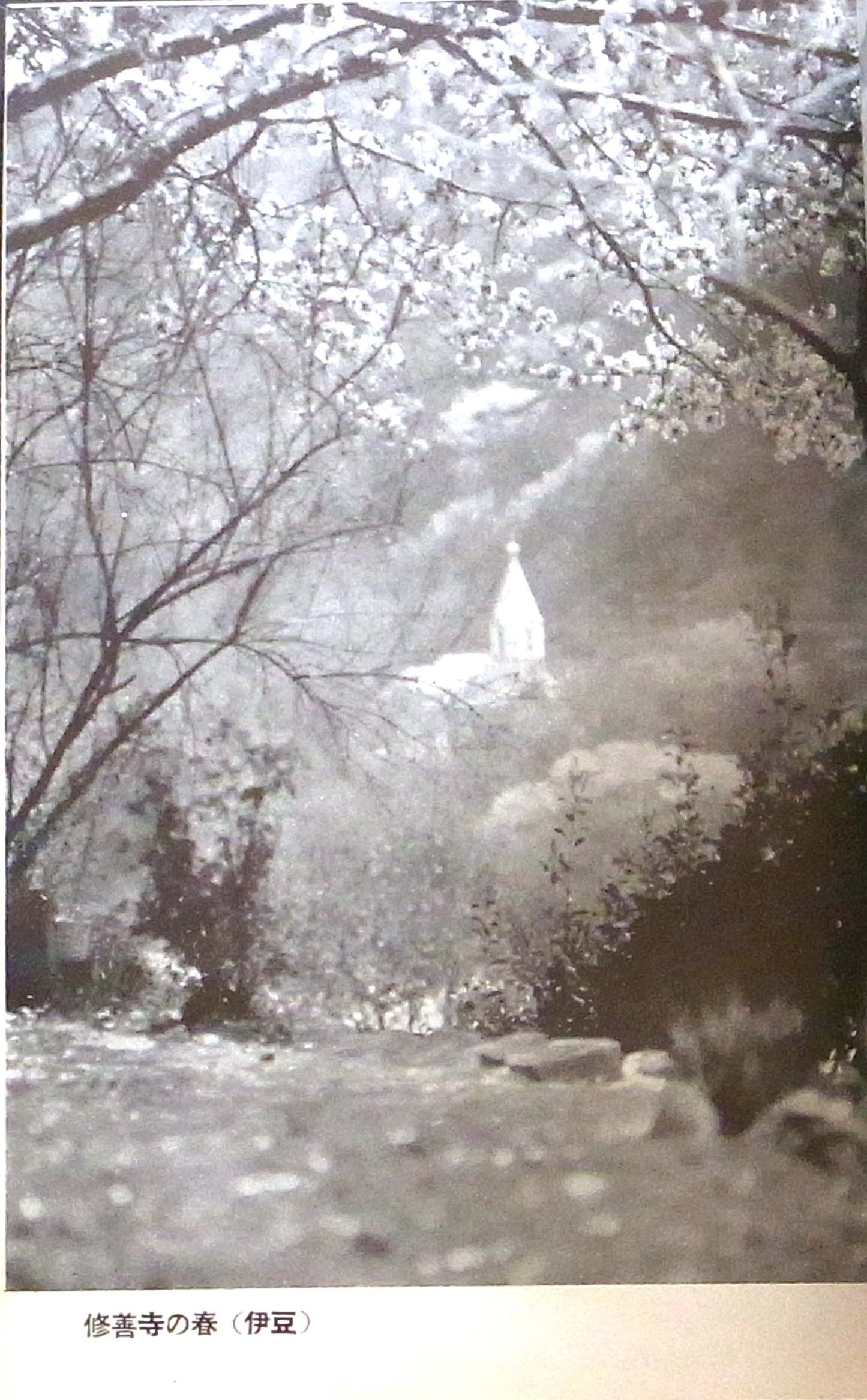 Shinzo Fukahara - Tabi no Shashin Satsuei - 1937