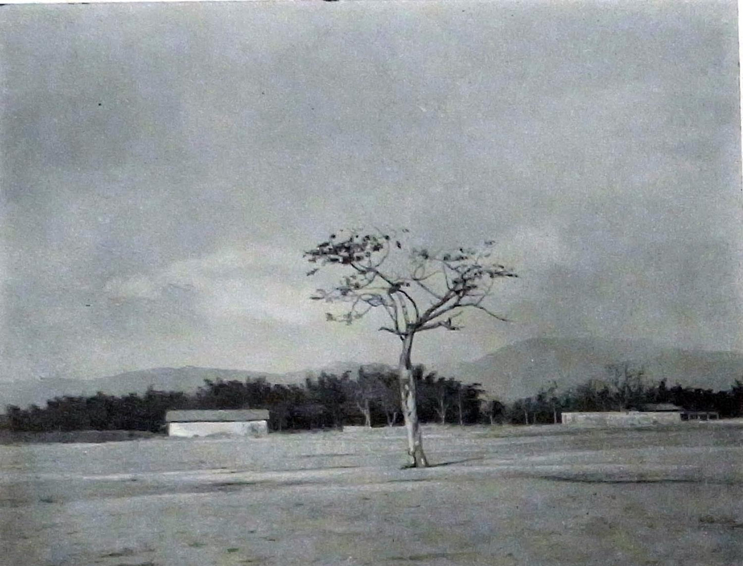 Editor- Raycen Narusawa - Nippon Shashin Nenkan (Japan Photographic Annual) - 1926-1927