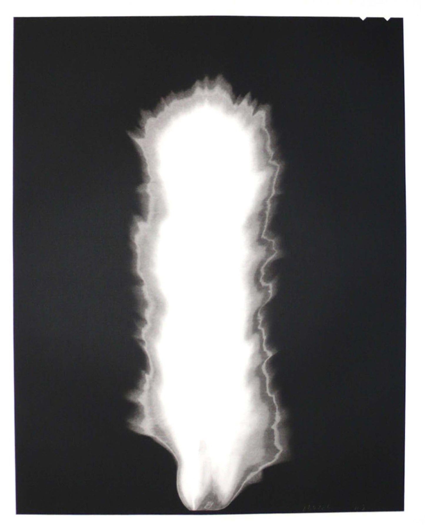 Hiroshi Sugimoto - In Praise of Shadows - 2000