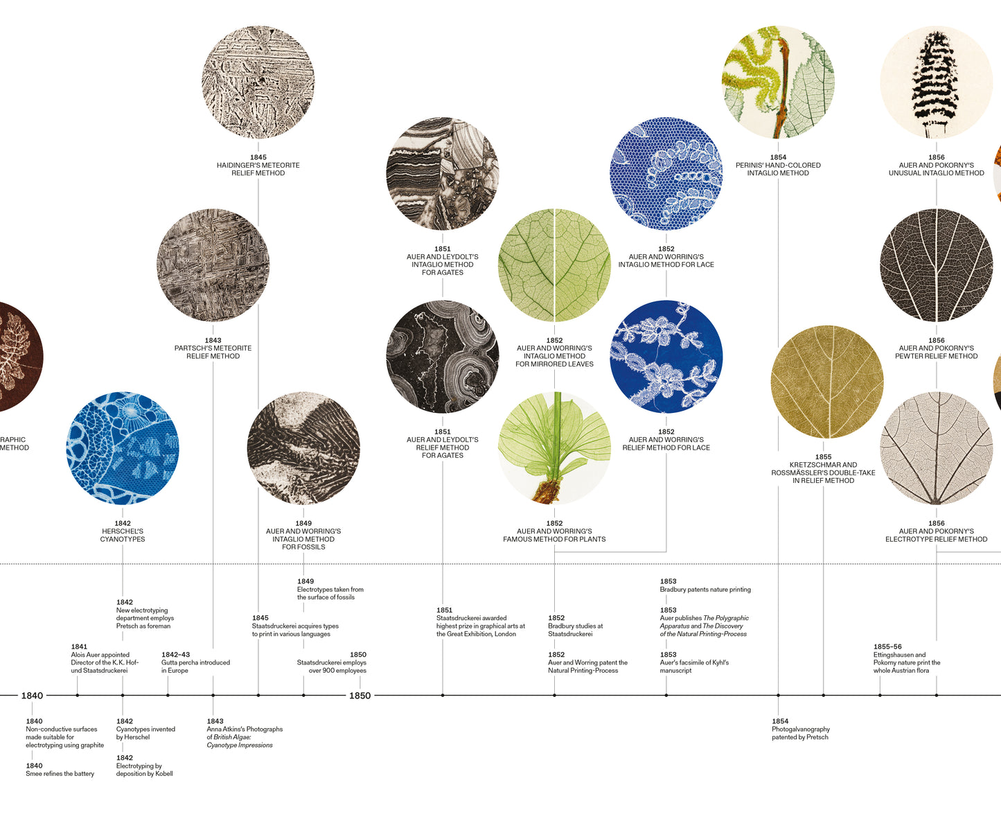 Capturing Nature Timeline