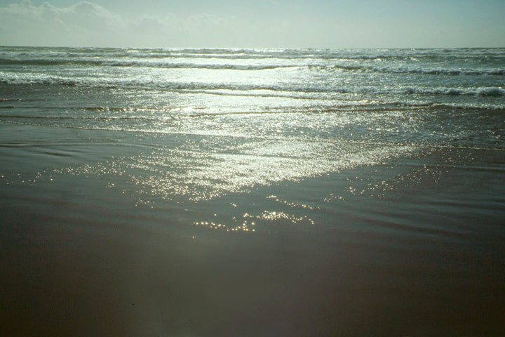 Herman De Vries - On The Beach-Morocco 2006 - 2006