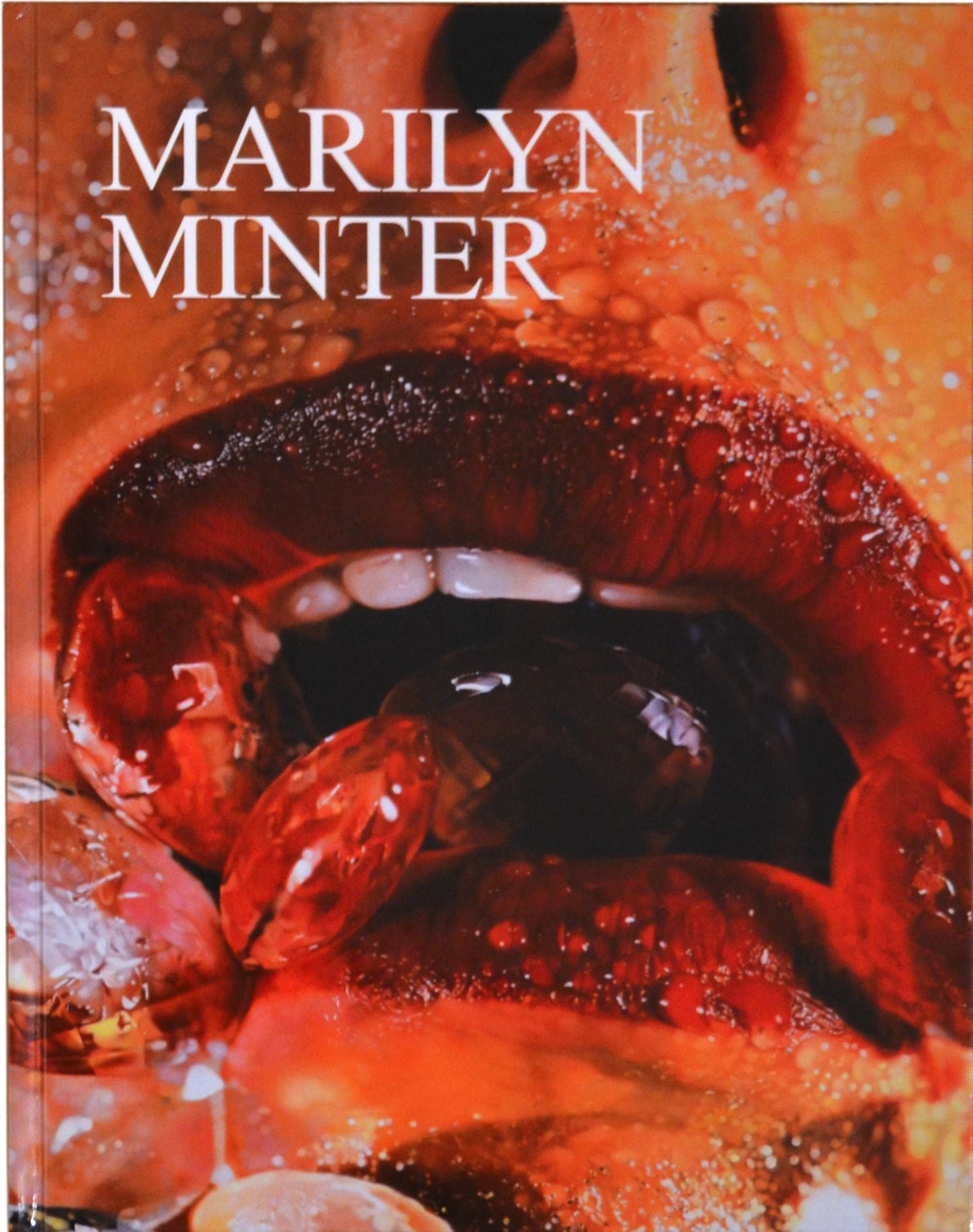 Marilyn Minter - Marilyn Minter - 2007