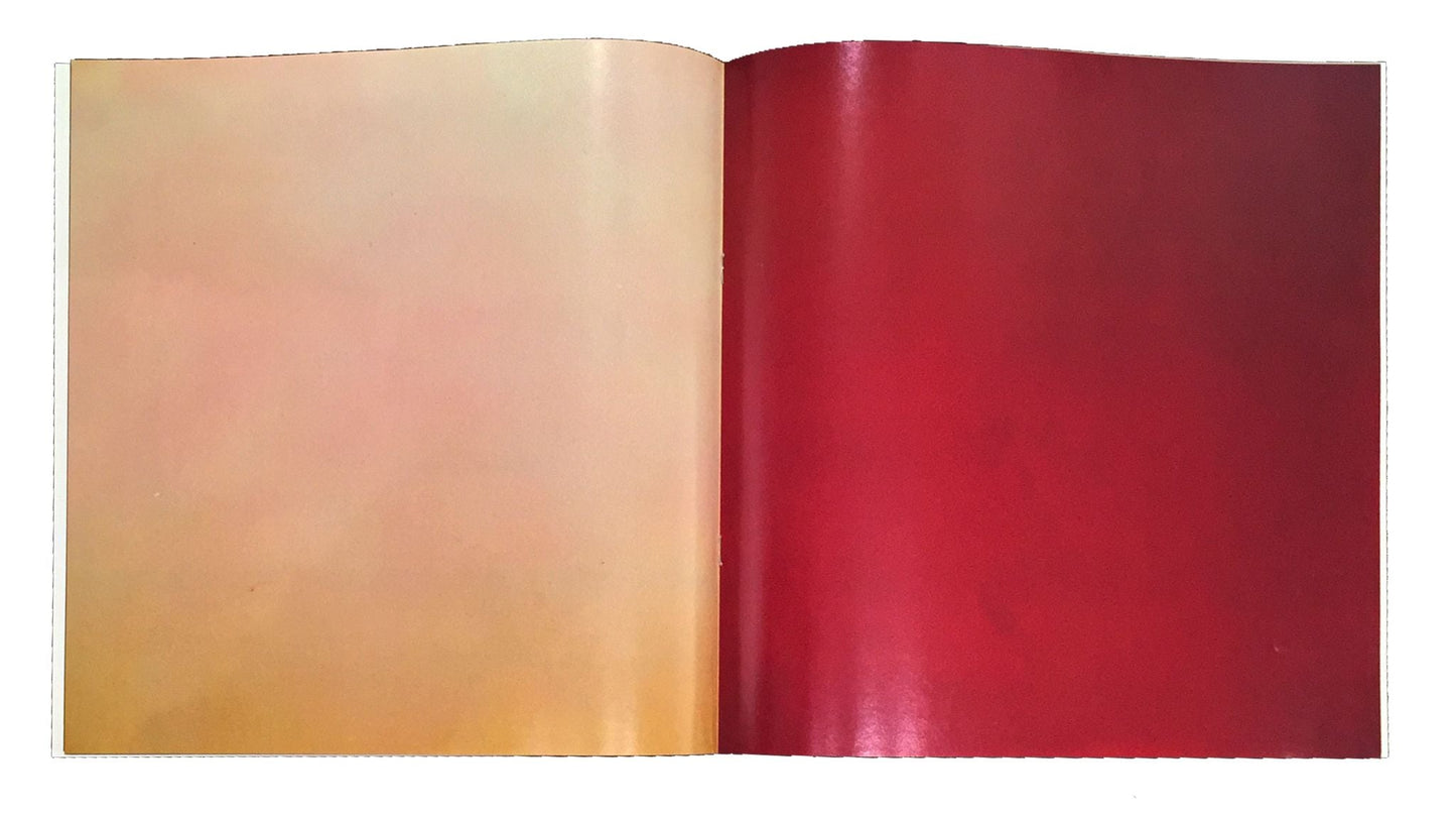 Bruce Nauman - LAAIR - 1970