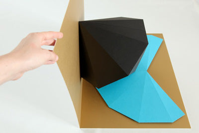 Tauba Auerbach - [2,3] - 2011 [4006-BK]