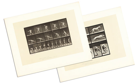 Eadweard Muybridge - Animal Locomotion - Large portfolio of 100 plates - 1960's edition
