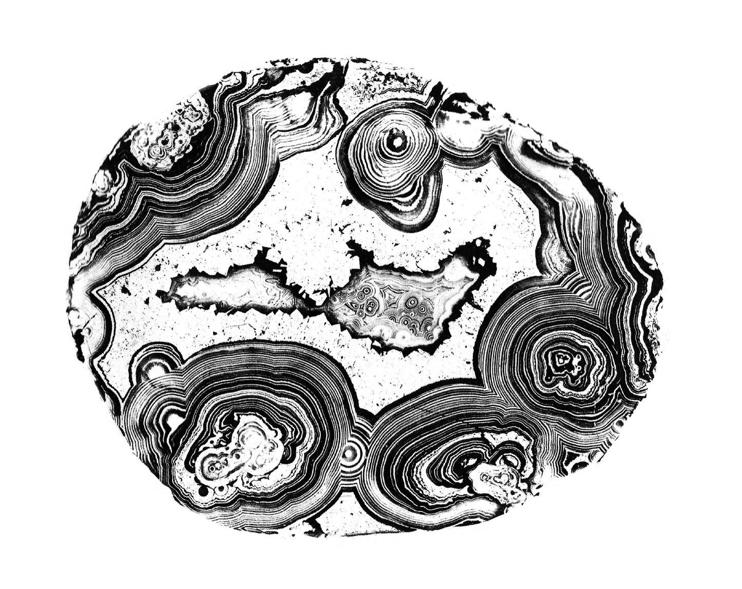 Franz Leydolt - Agate I - 1851 -2021