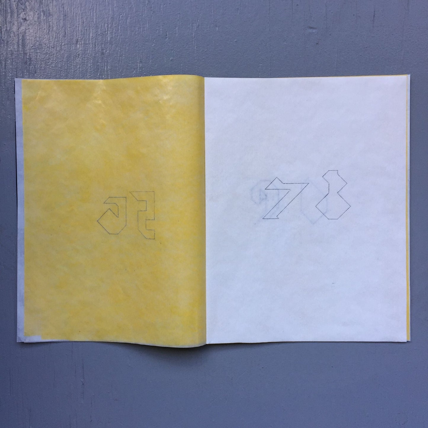 Kate Shepherd - Steiner Book Series/ Tangram 1 - 2017