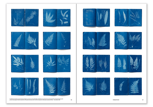 Copy of Capturing Nature-UK